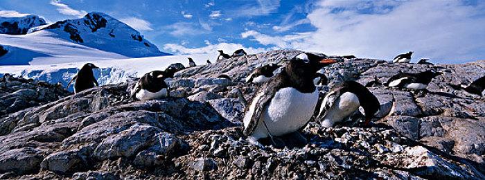 再见彼得！《漫威蜘蛛侠3》小黑蛛将是唯一主角